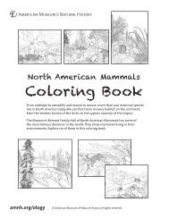 Coloring Book - American Museum of Natural History