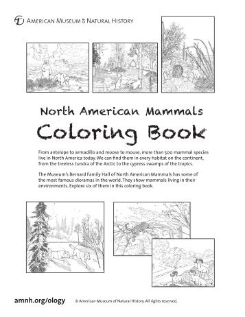 Coloring Book - American Museum of Natural History