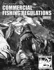 Commercial Fishing Regulations - Louisiana Department of Wildlife ...