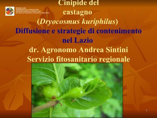 Presentazione-Cinipide-16marzo - Agricoltura - Regione Lazio