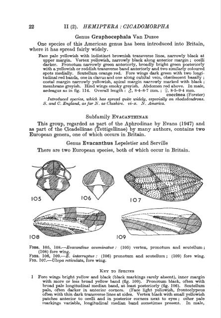 Vol 2 Part 2a. Hemiptera - Cicadomorpha - Royal Entomological ...