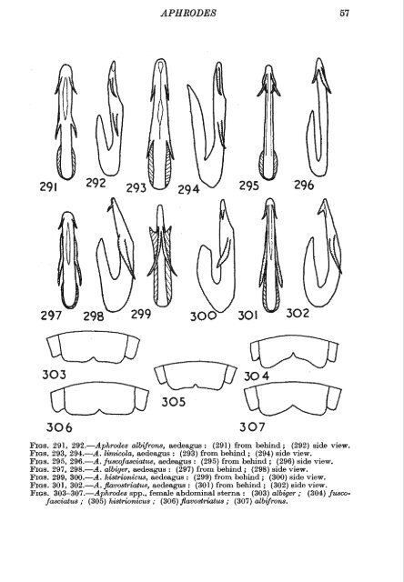 Vol 2 Part 2a. Hemiptera - Cicadomorpha - Royal Entomological ...