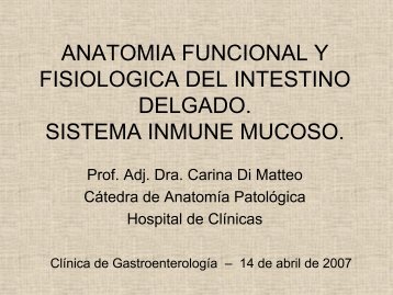 ANATOMIA FUNCIONAL Y FISIOLOGICA DEL INTESTINO ...