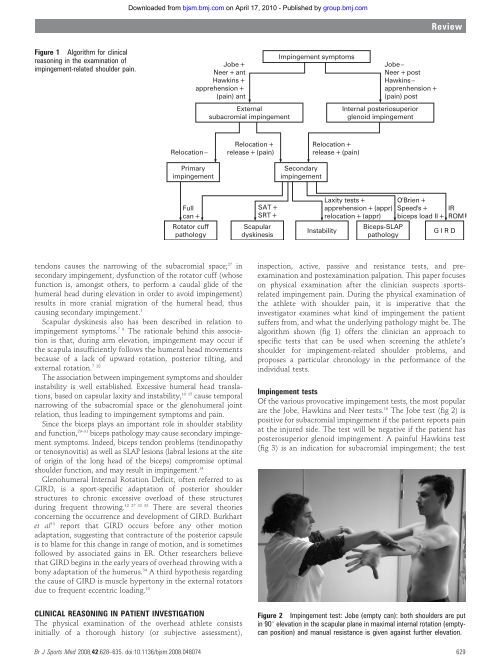 cools et al (2008) screening the athlete's shoulder for impingement ...