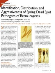 Identification, Distribution, and Aggressiveness of Spring Dead Spot ...