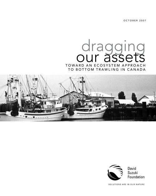 Toward an Ecosystem Approach to Bottom Trawling in Canada