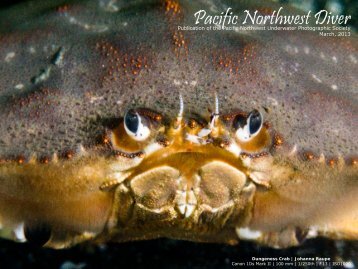 Pacific Northwest Diver - British Society of Underwater Photographers