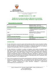 INFORME TECNICO NÂº 16 - 2007 Butilbromuro de Hioscina 20mg + ...