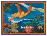 Sea Turtles - WIDECAST