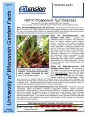 Helminthosporium Turf Diseases - Russell Labs Site Hosting