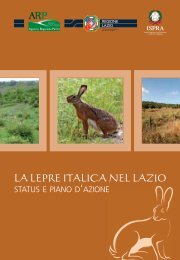 La Lepre italica nel Lazio - Riserva Naturale Regionale Montagne ...