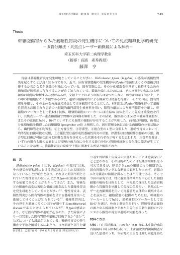 幹細胞傷害からみた萎縮性胃炎の発生機序についての ... - 埼玉医科大学