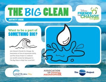 Big Clean - Disney Sites