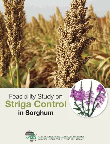 Feasibility Study on Striga Control in Sorghum - African Agricultural ...