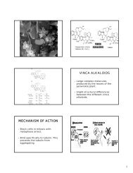 VINCA ALKALOIDS MECHANISM OF ACTION - UNMC