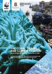 The Coral Triangle and Climate Change: Ecosystems, People and ...
