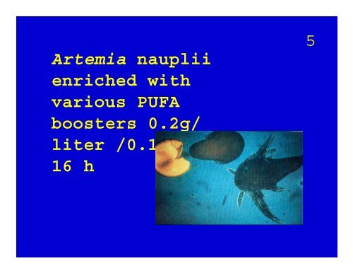 Lipid Nutrition Studies on Grouper Epinephelus coioides ... - Library