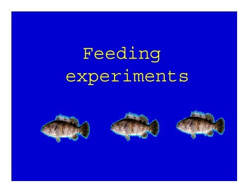 Lipid Nutrition Studies on Grouper Epinephelus coioides ... - Library