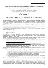 CAPITOLO 1 IMPATTO AMBIENTALE DEI FINI DI SEGAGIONE