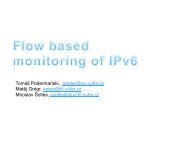 Flow Based Monitoring of IPv6 - cesnet