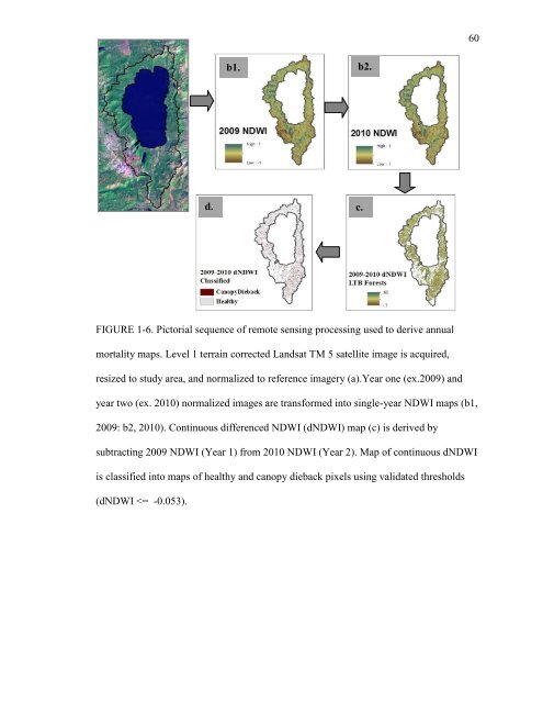 Van Gunst, K.J. 2012. Forest Mortality in Lake Tahoe Basin from ...