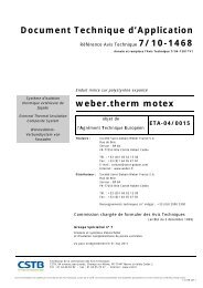 DTA weber.therm MOTEX
