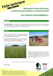 Les Cultures IntermÃ©diaires - La Chambre d'Agriculture de Charente ...