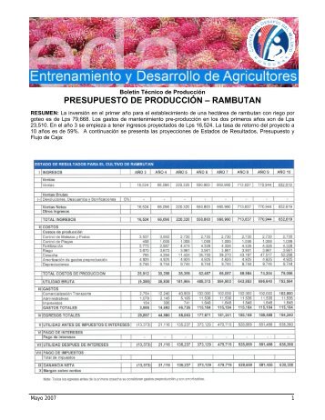 presupuesto de producciÃ³n â rambutan - Cuenta del Milenio ...