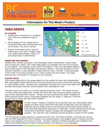 TABLE GRAPES