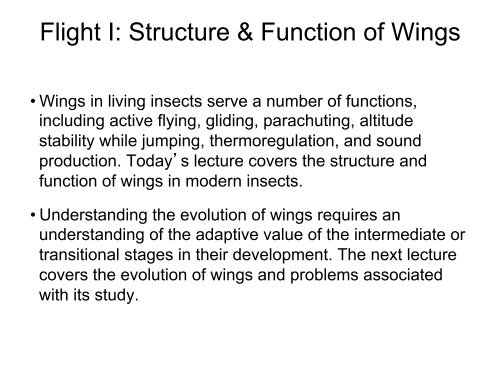 Flight I: Structure & Function of Wings - Biology Courses Server
