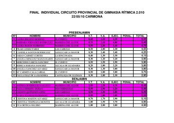 Resultados Final Indiv. Carmona 22-5-10