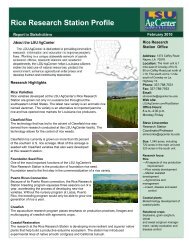 Rice Research Station Profile