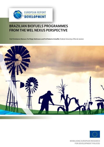 Brazilian Biofuels Programmes from the WEL Nexus Perspective