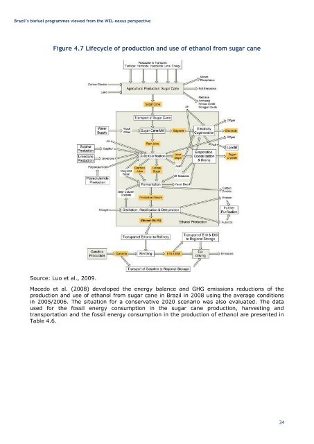 Brazilian Biofuels Programmes from the WEL Nexus Perspective