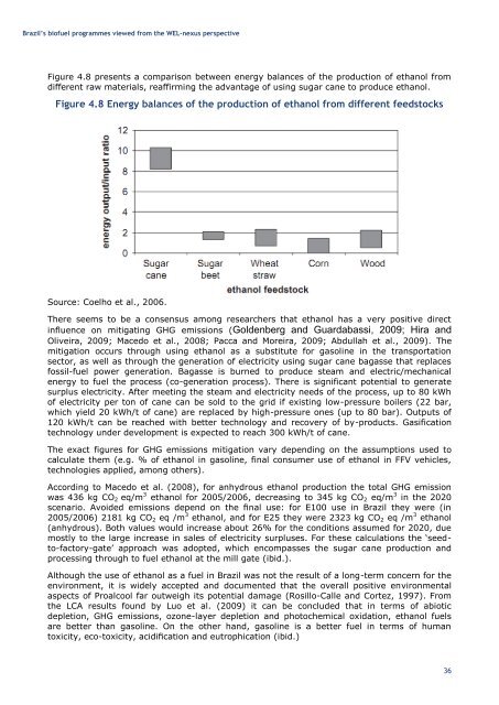 Brazilian Biofuels Programmes from the WEL Nexus Perspective