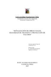 Universidad Austral de Chile - CyberTesis UACh - Universidad ...