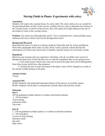 Moving Fluids in Plants: Experiments with celery