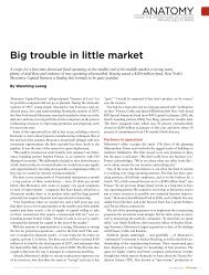 Big trouble in little market anatomy - Monomoy Capital Partners