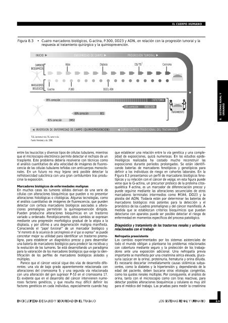 SISTEMAS RENAL Y URINARIO