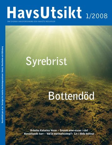 HavsUtsikt nr 1,2008 - Havet.nu