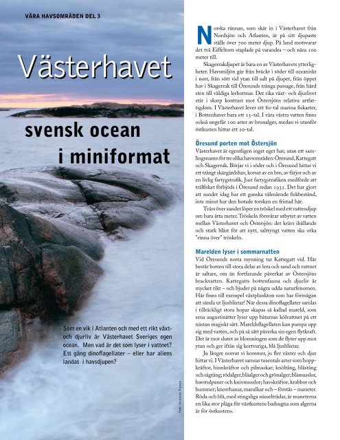 HavsUtsikt nr 1,2008 - Havet.nu