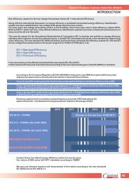 General Purpose Three-Phase Induction Motors ... - Cantoni Group