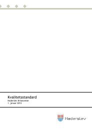 Kvalitetsstandard 2013 for Haderslev Krisecenter