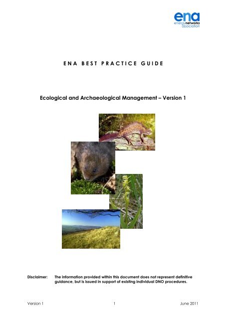 ENA BEST PRACTICE GUIDE - Energy Networks Association