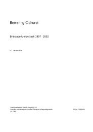 Rapport Bewaring van cichorei, 1997-2002 (pdf, 42 ... - Kennisakker.nl