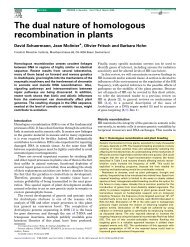 The dual nature of homologous recombination in plants