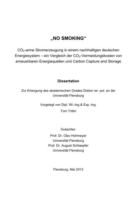 dissertation trittin tom.pdf - Zentrale Hochschulbibliothek Flensburg