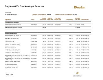 Dreyfus AMT - Free Municipal Reserves