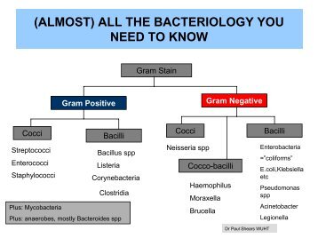 (ALMOST) ALL THE BACTERIOLOGY YOU NEED TO KNOW