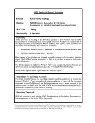 IBAC Technical Report Summary - International Business Aviation ...